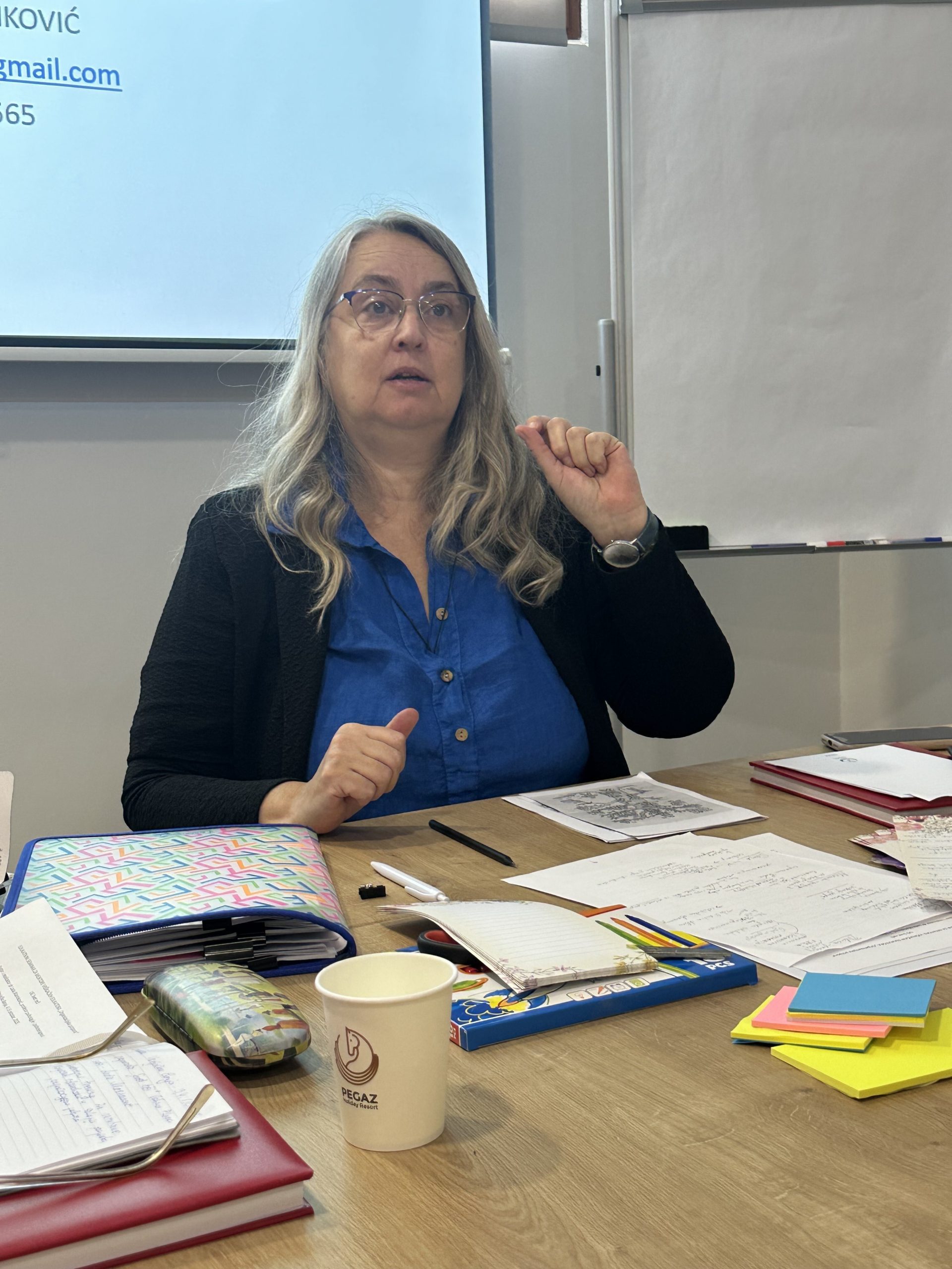 IMG_2564-5-scaled Trening za mentorke vršnjačkih timova